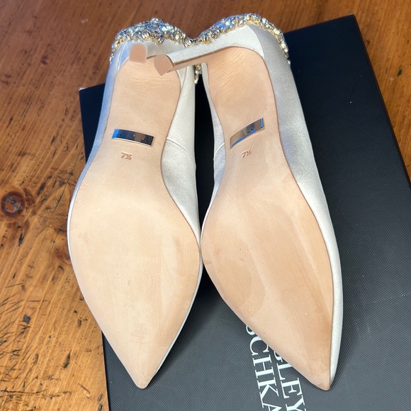 Badgley Mischka Gorgeous Wedding Shoes - Picture 16 of 17